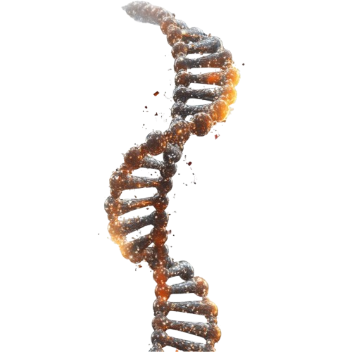 Пост-квантовая криптография